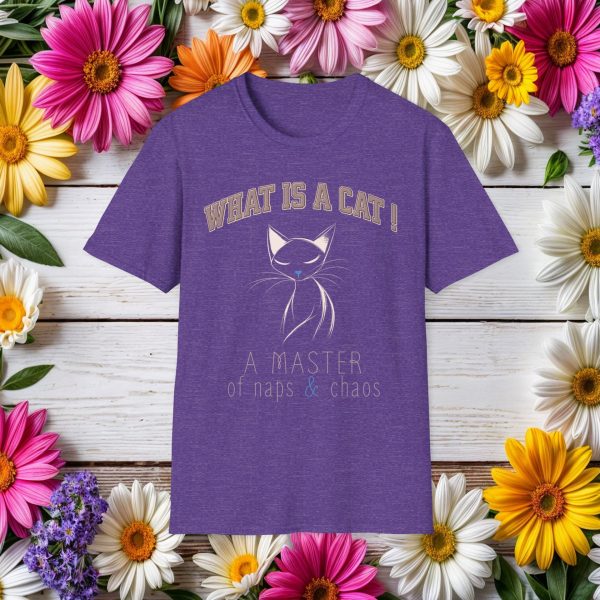 What is a Cat – A Master of Naps & Chaos Cat Graphic T-Shirt | BONYTA.Online